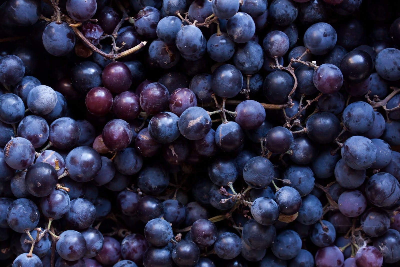 Grape Escape iGet Bar