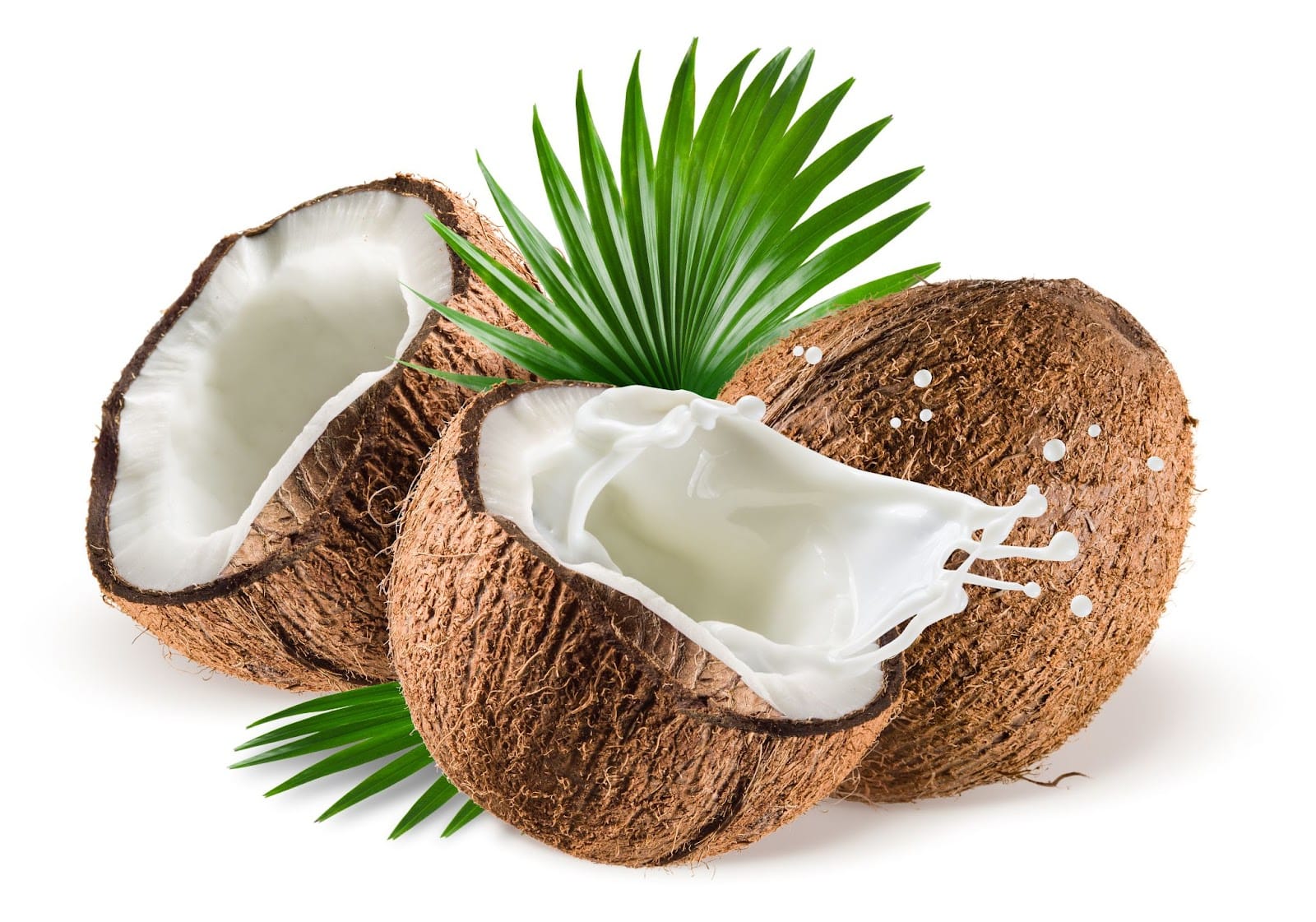 Best Disposable Vape options - Coconut Milk