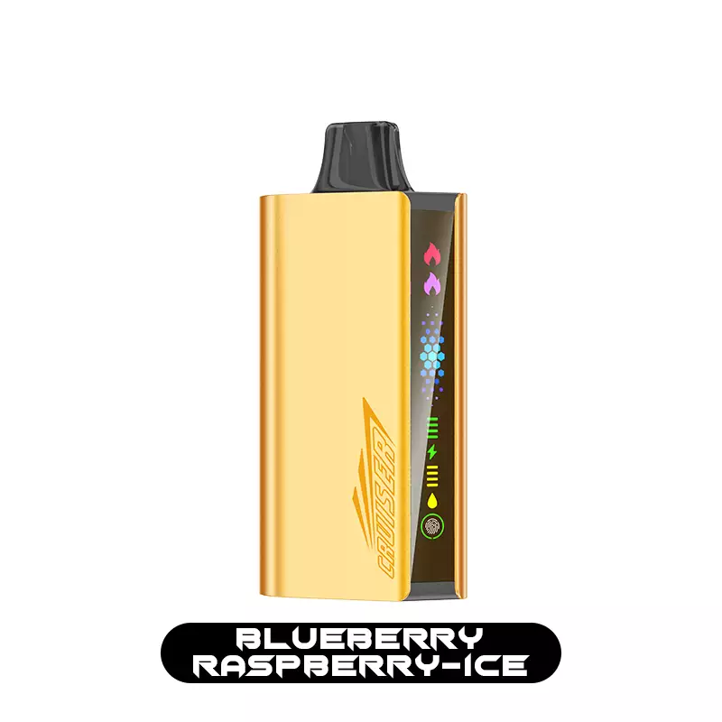 Blueberry-Raspberry-Ice蓝莓树莓冰 JNR CRUISER 12000 - Blueberry Raspberry Ice - Image 1