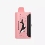 PICCO STAR 40000 - Watermelon Ice